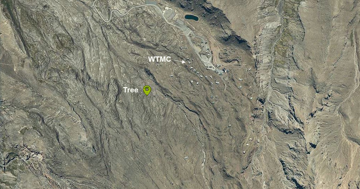 Aerial view of the location of thee wilding pine