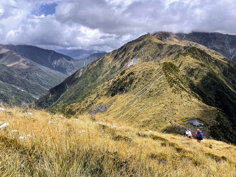 Looking towards Mt Bannatyne on the Toaroha Range