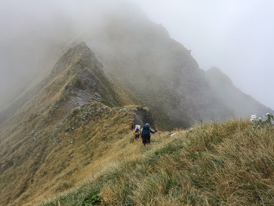 Misty travel along the Toaroha Range