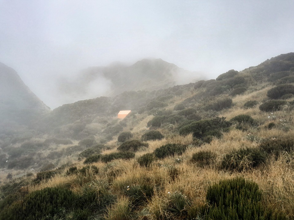 Pinnacle Biv in the mist on the Toaroha Range