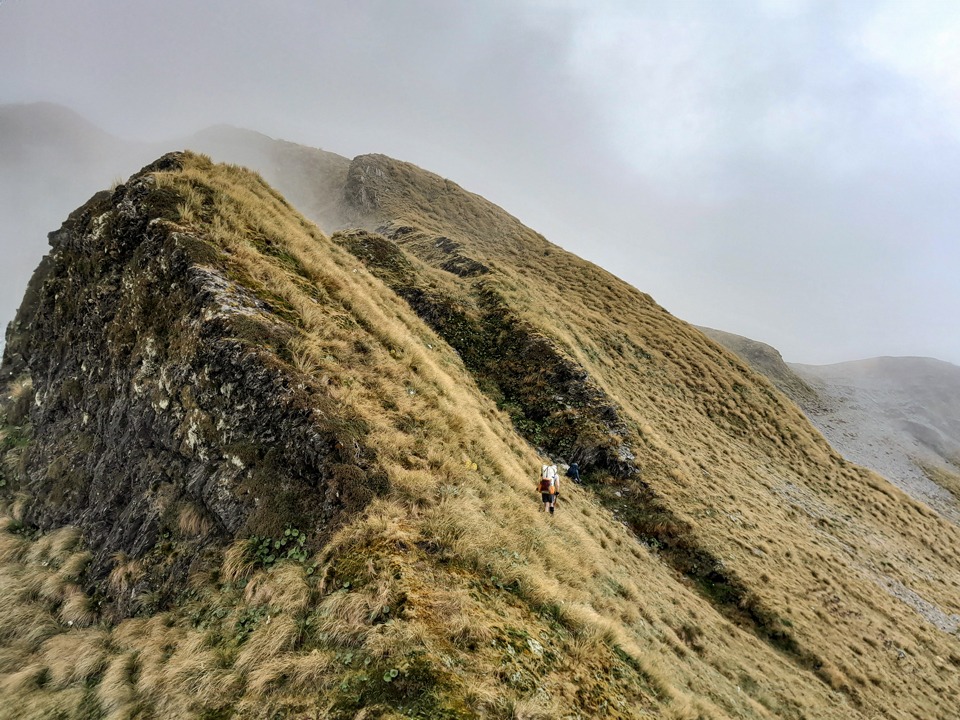 Tussok tops of the Toaroha Range