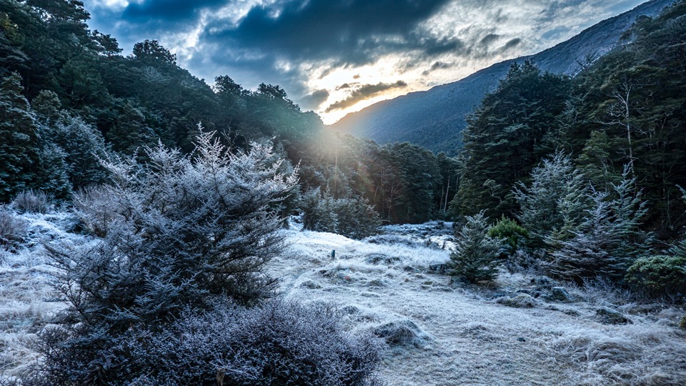 Frosty morning Travers Valley Nelson Lakes National Park