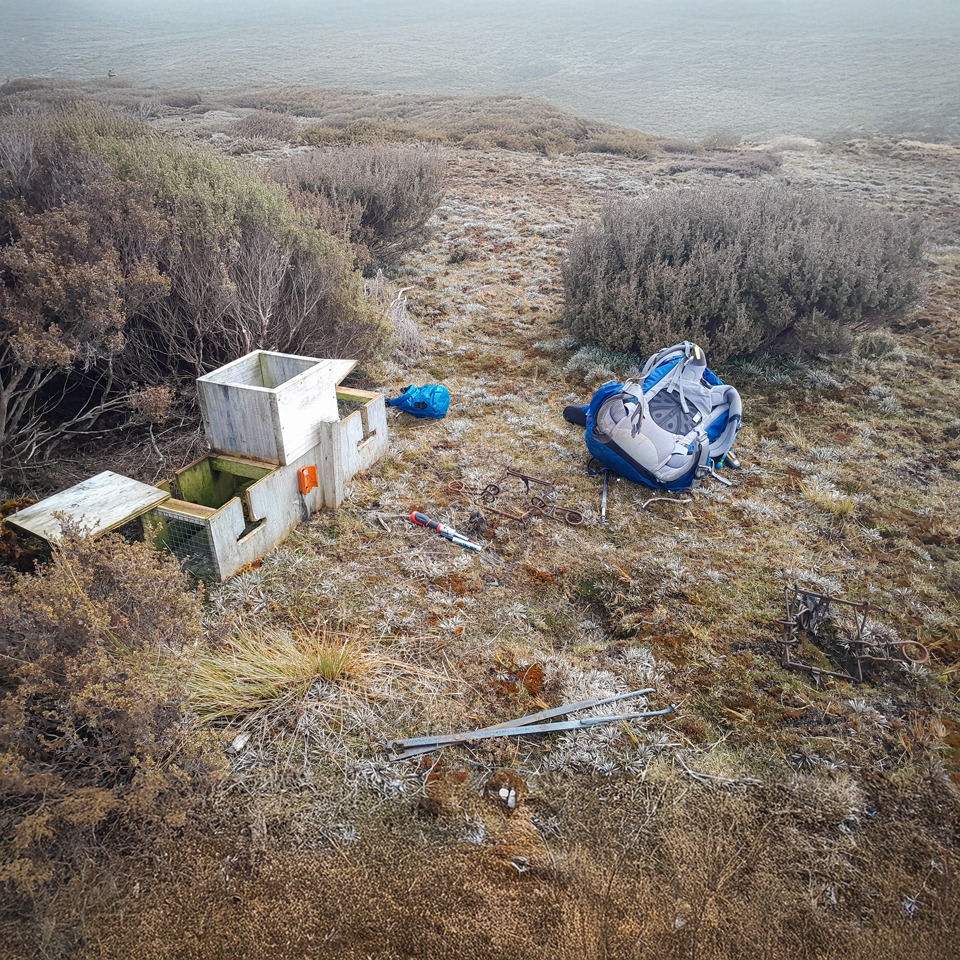 Rebaiting a Belisle trap for the worst invasive predators on Rakiura - rats and feral cats.