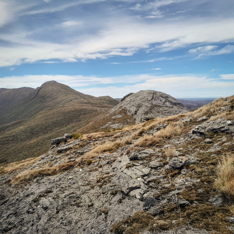 View north to Granite Dome and Mt Allen, Rakiura