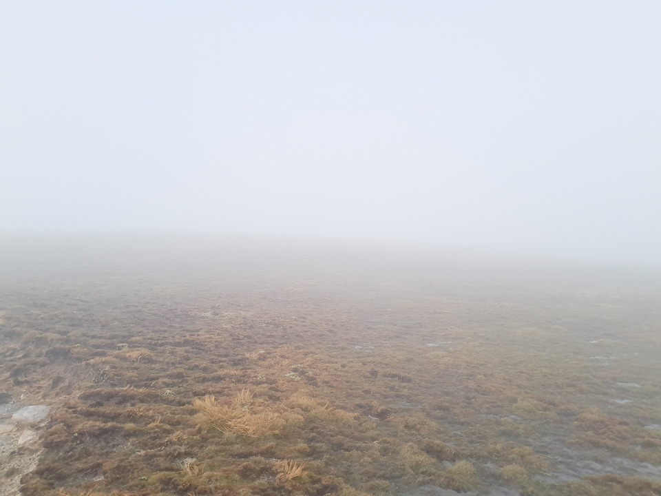 Tin Range Rakiura - a typical mist day