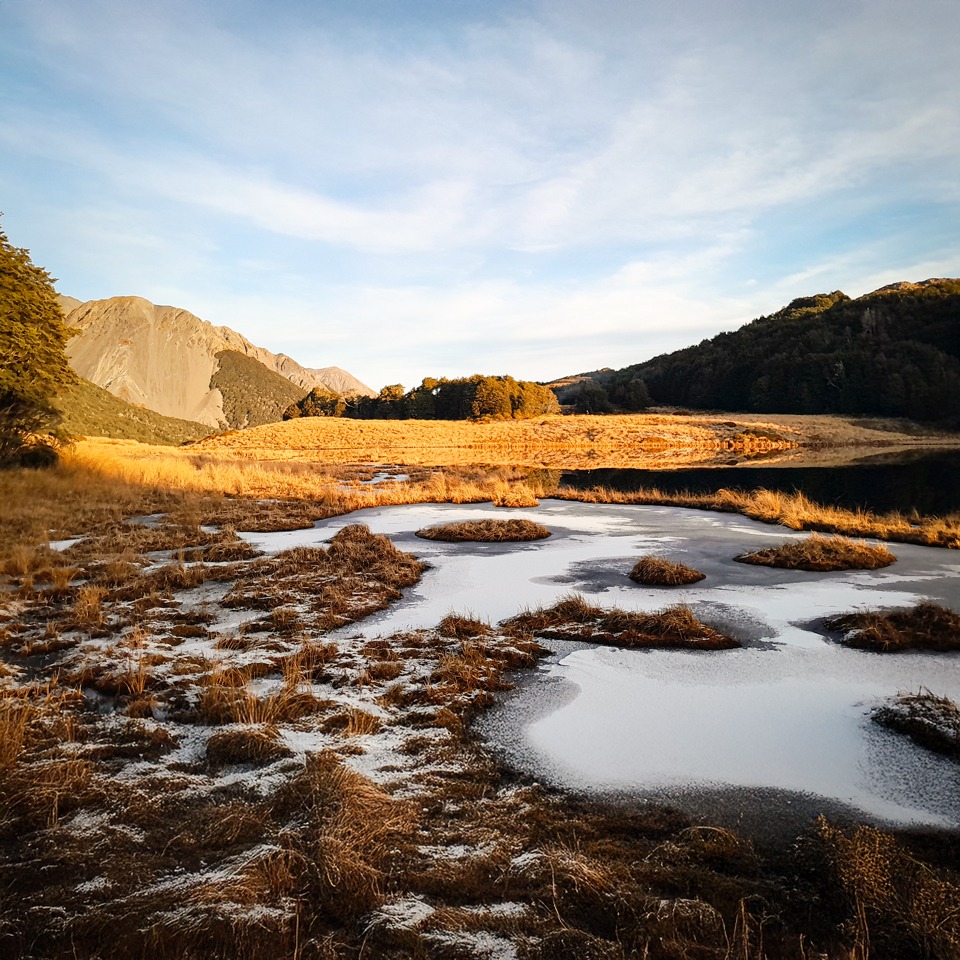 Frozen tarns near our campsite. Frogs were living under the ice and somehow got out to call at night
