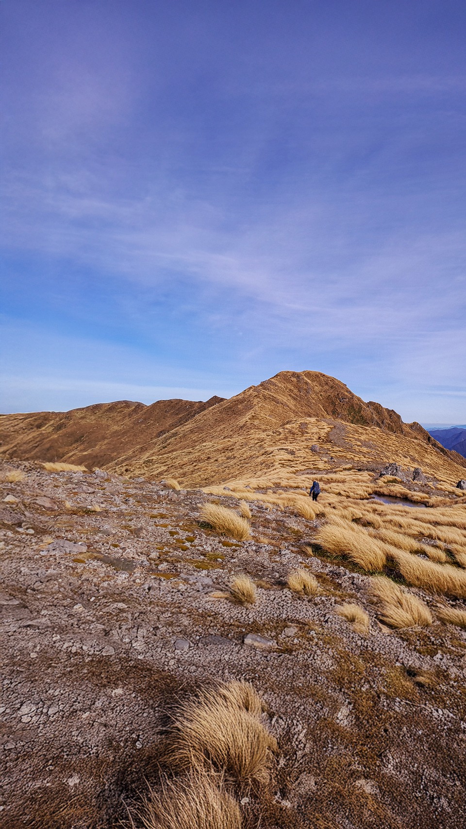 View towards Angle Knob - Tararua Forest Park