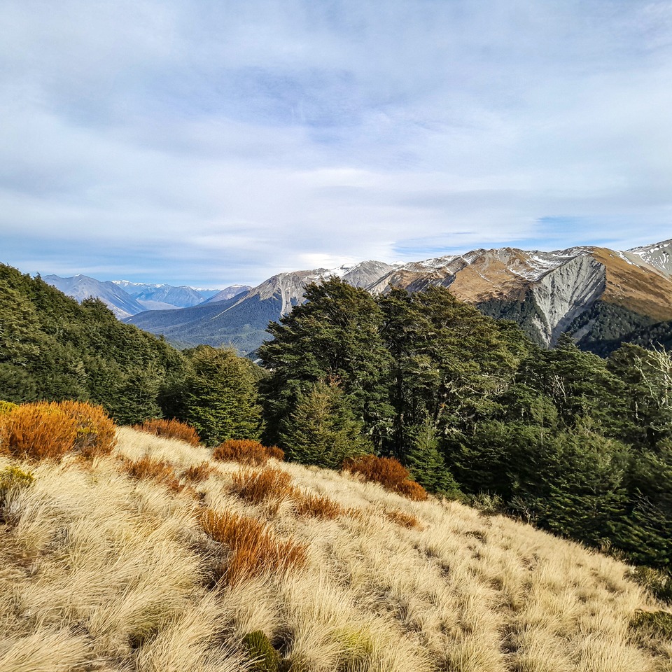View from Cass Saddle Cass-Lagoon Saddle Track