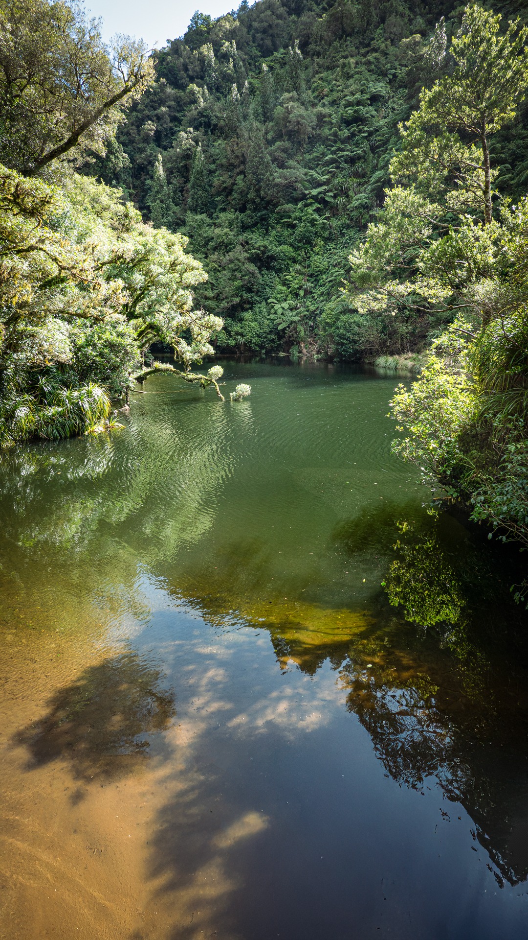 The lake at Arcus Dam Tararua Forest Park