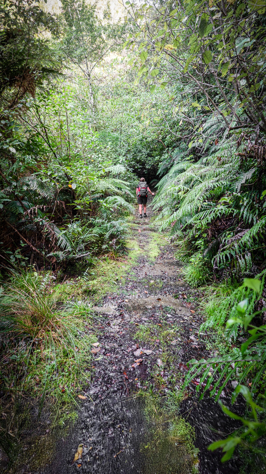Walking along the easy track to Arcus Dam