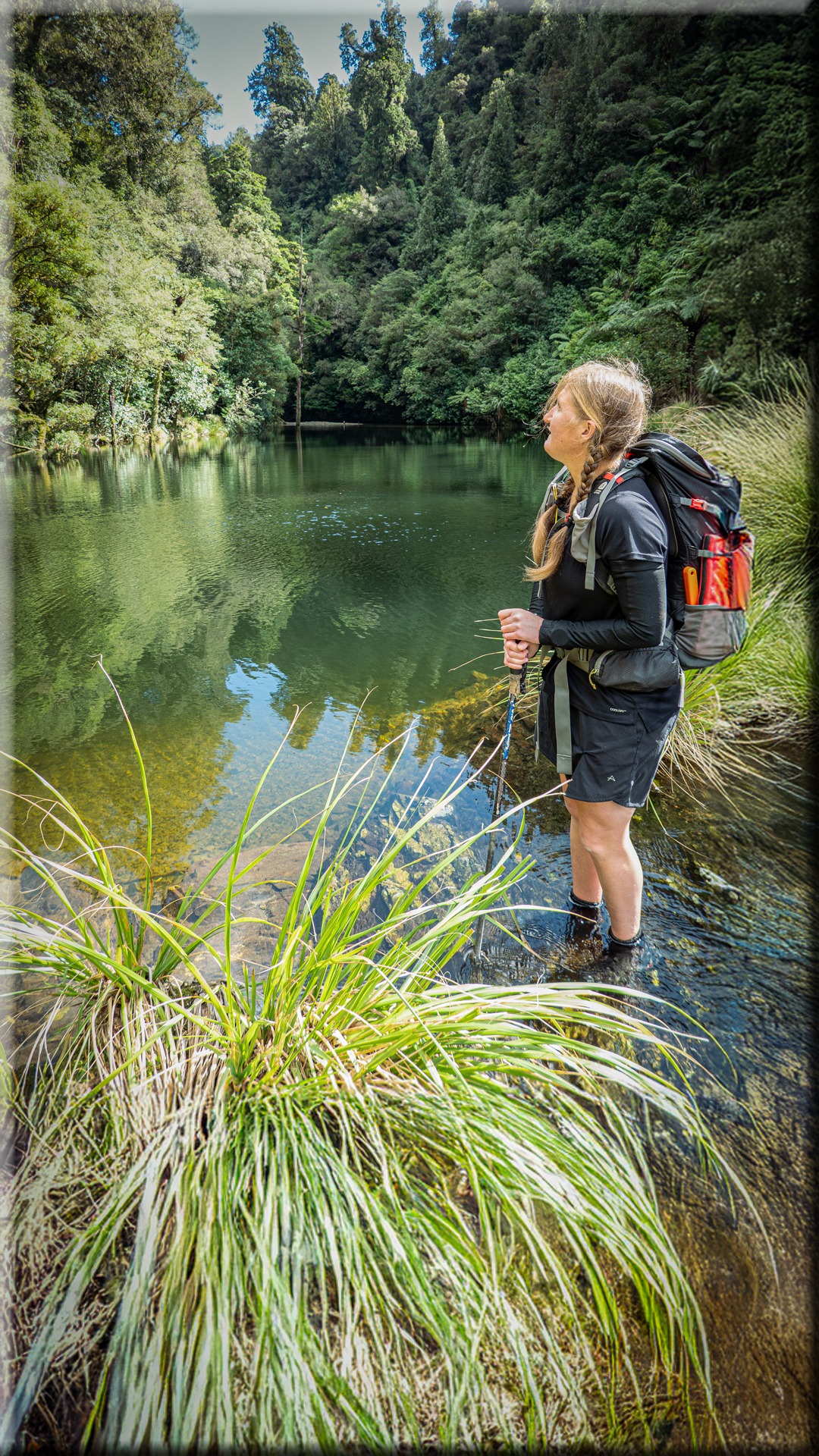 Arcus Dam Tararua Forest Park featured image