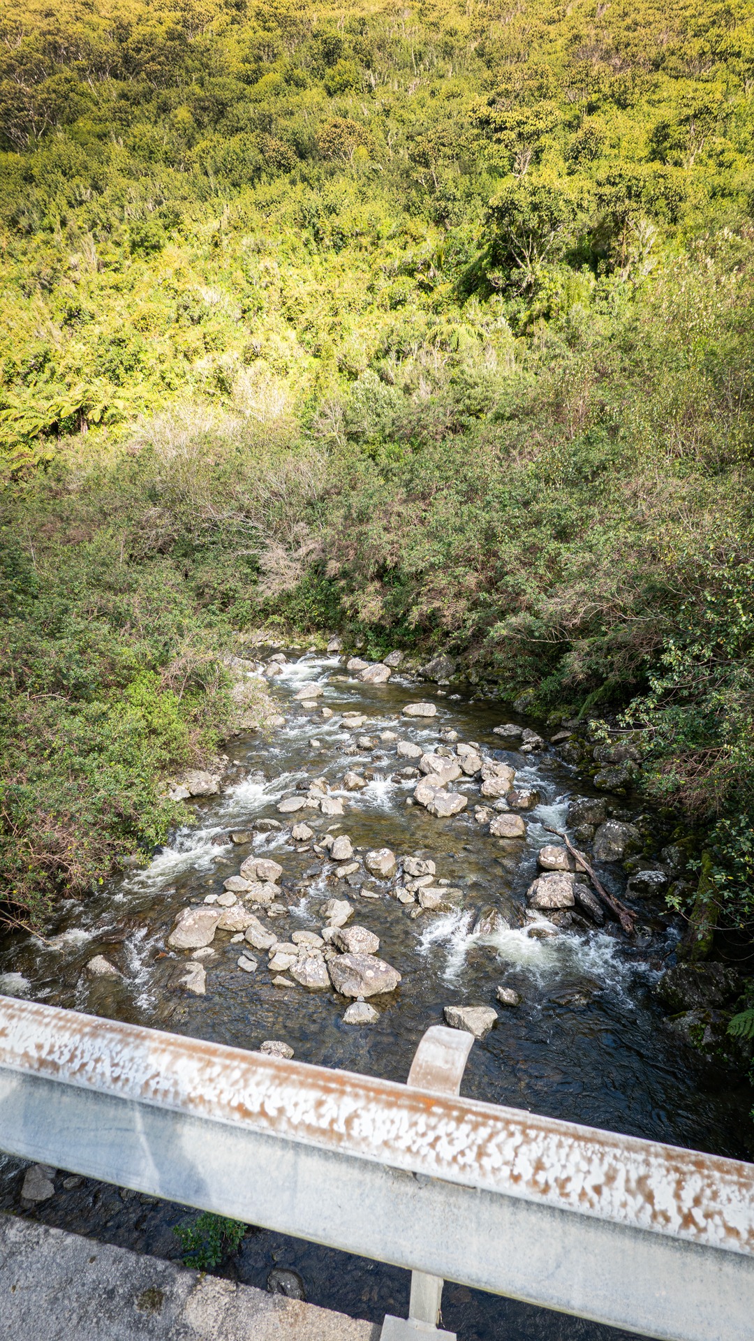 Roaring Meg viewed from the Ōtaki Forks Road bridge