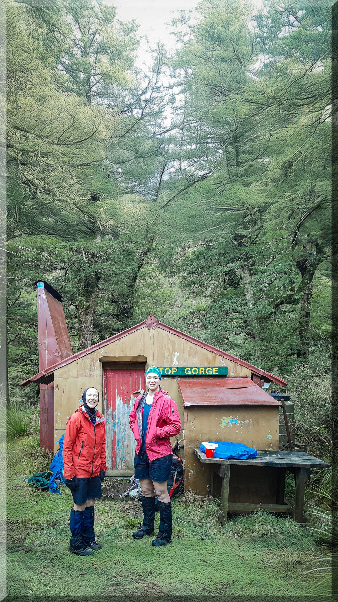 Top Gorge Hut Ruahine Forest Park
