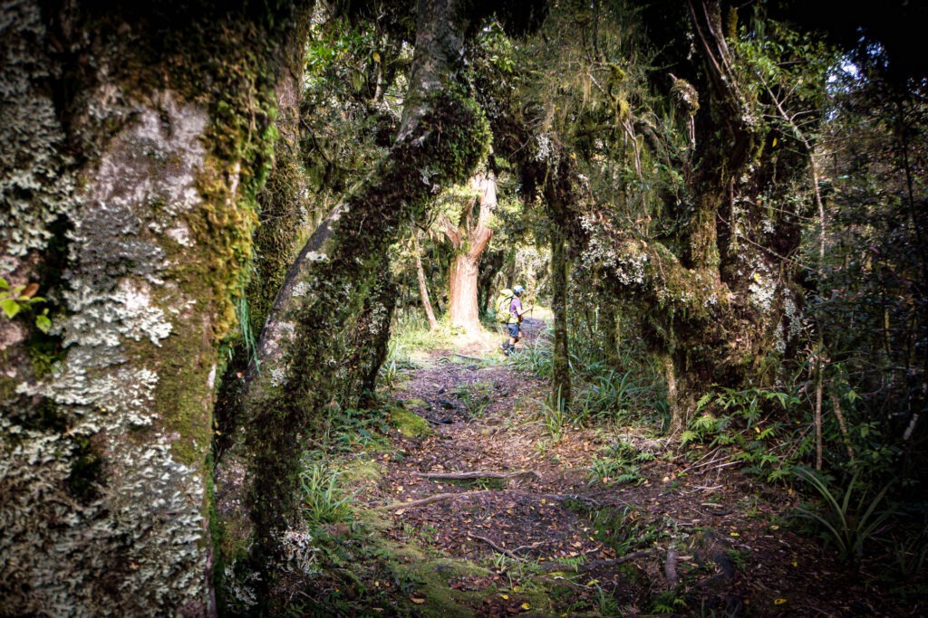 Descending from Fanthoms Peak to Lake Dive
