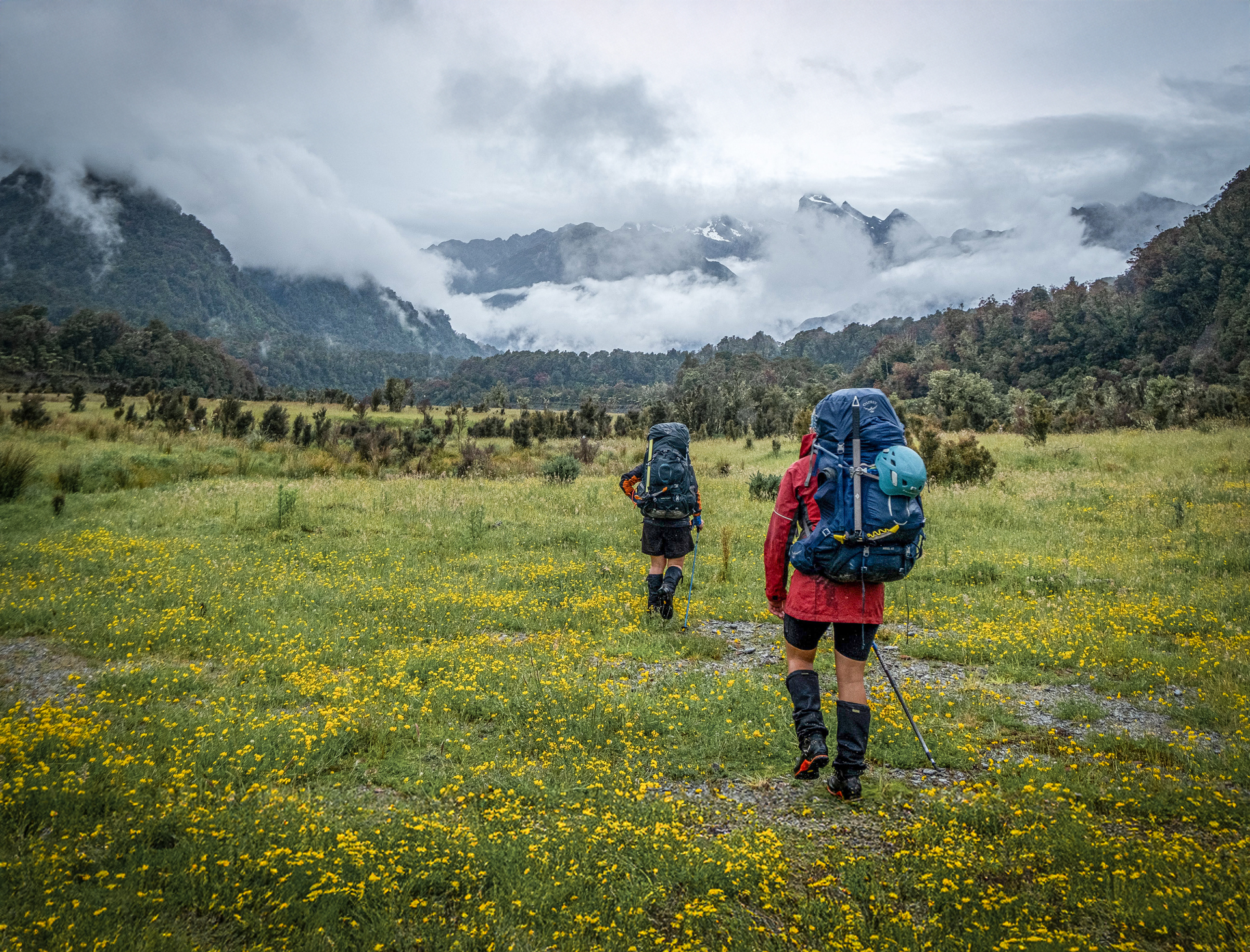  Walking up the Perth Valley, Westland 