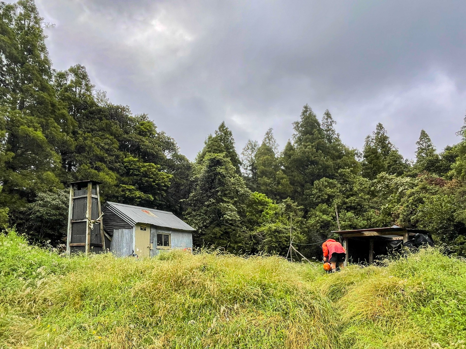  Nolans Hut, Perth Valley, Westland 