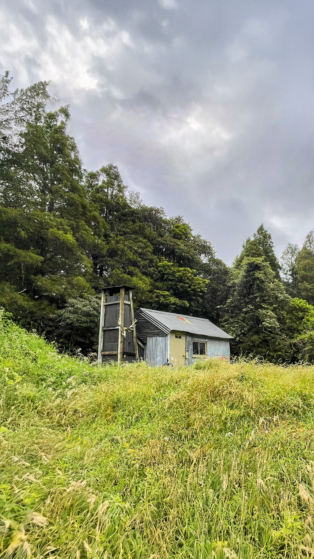  Nolans Hut, Perth Valley, Westland 