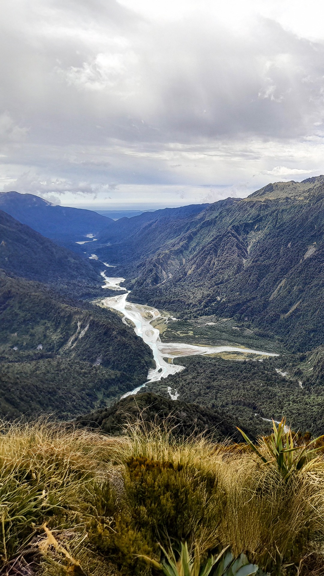  Wanganui River viewed from near  Blue Lookout