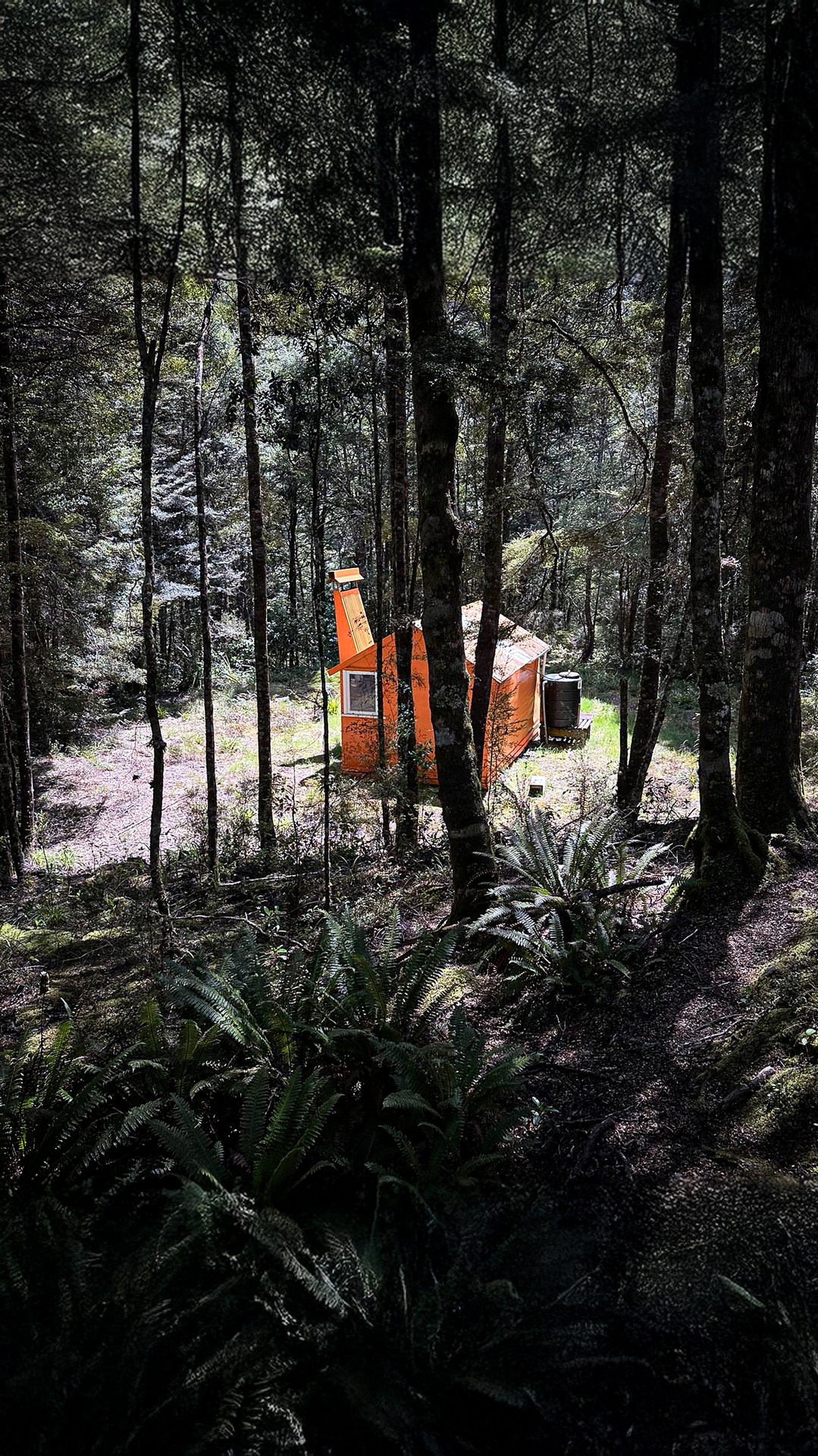  Ikawetea Hut Ruahine Range 