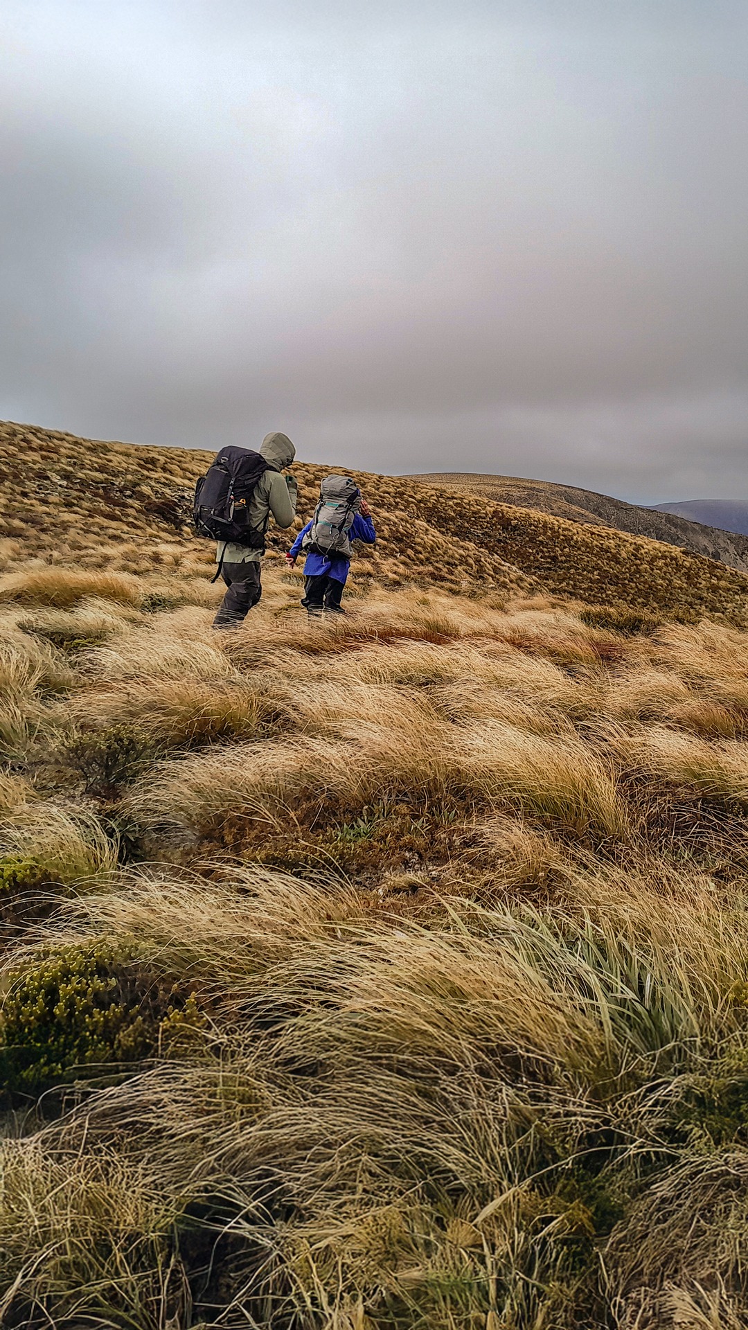 On the windy tops of the Ruahine Range 