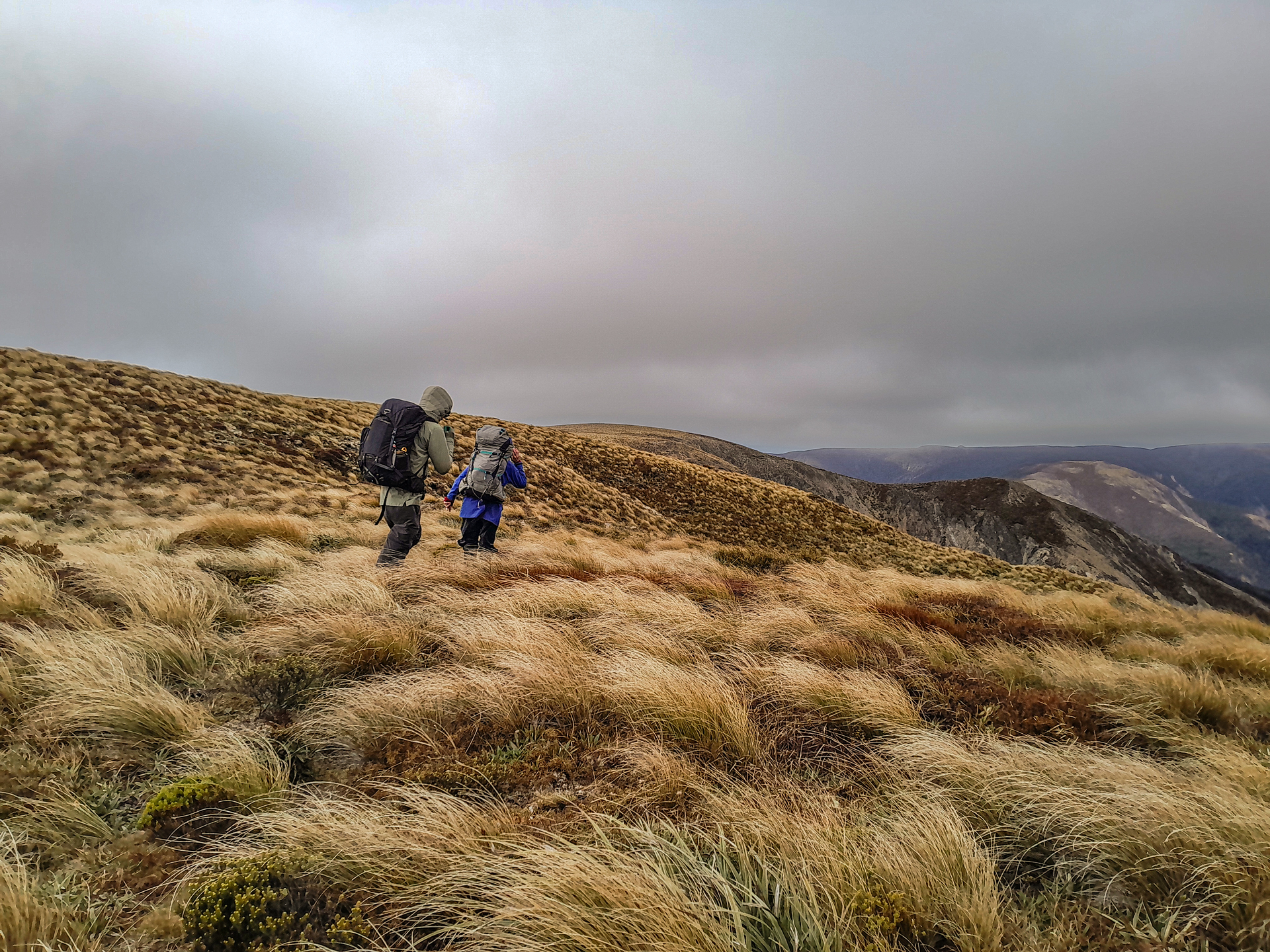  On the windy tops of the Ruahine Range 