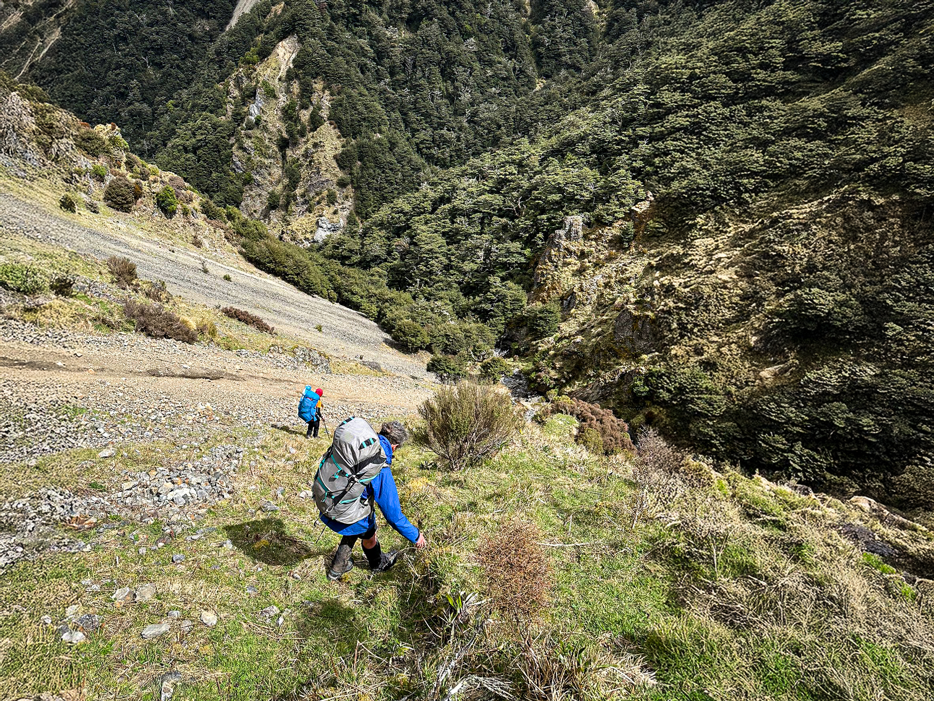  Descending scree slope in the Ruahine Range 