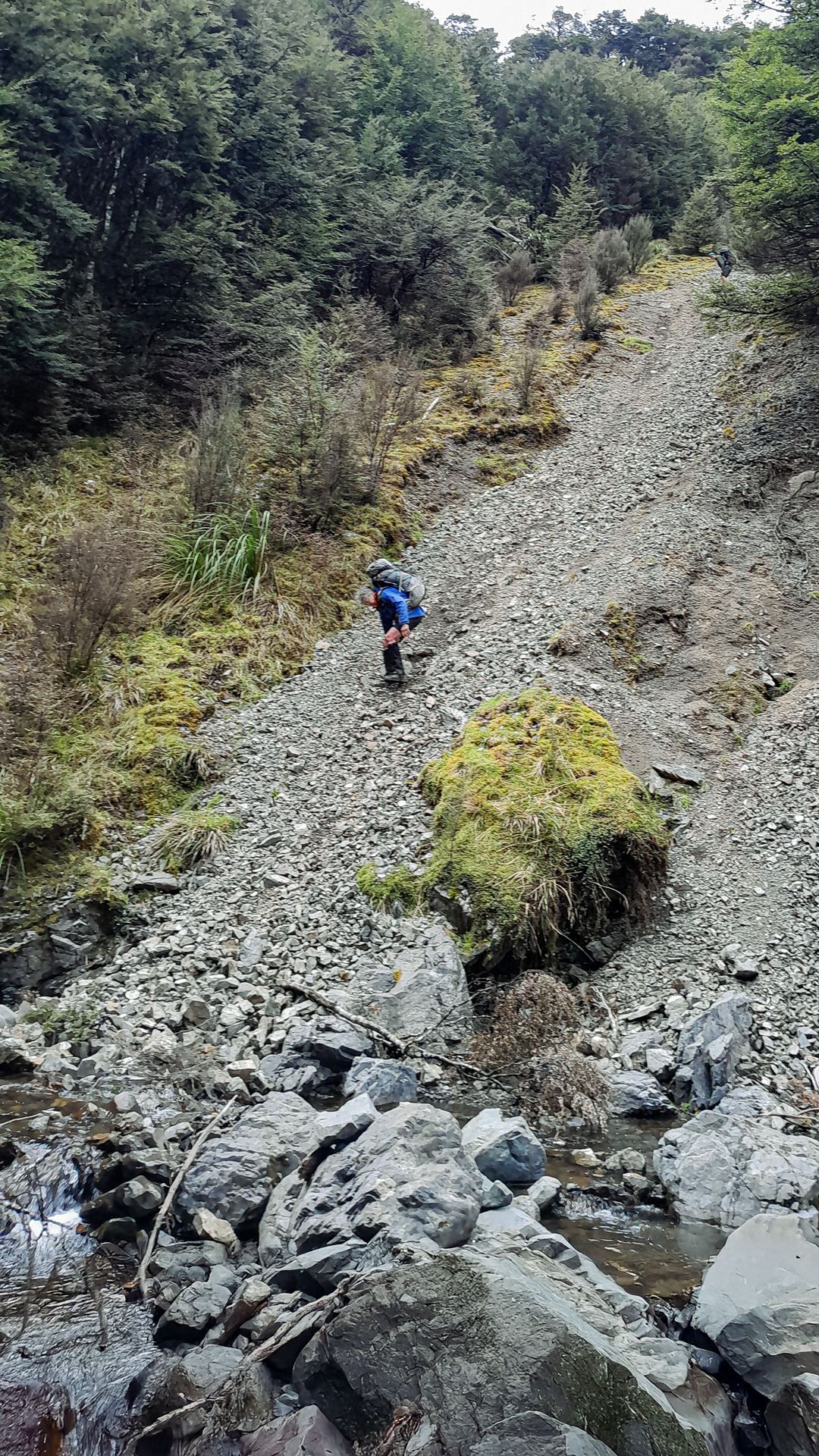  Descending scree slope in the Ruahine Range 